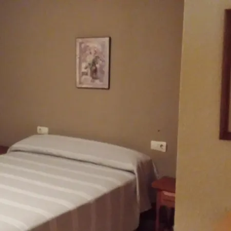 Palmeral De Торевьиа