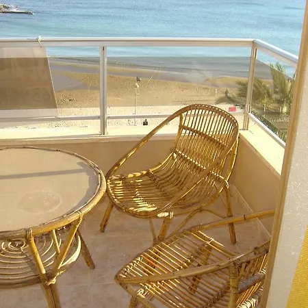 Palmeral De