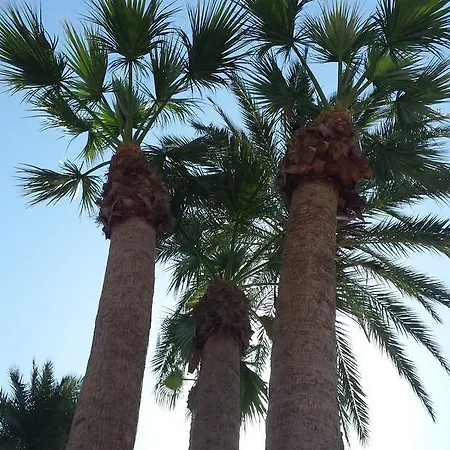 Palmeral De Apartamento