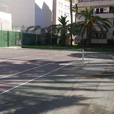 Palmeral De Apartamento