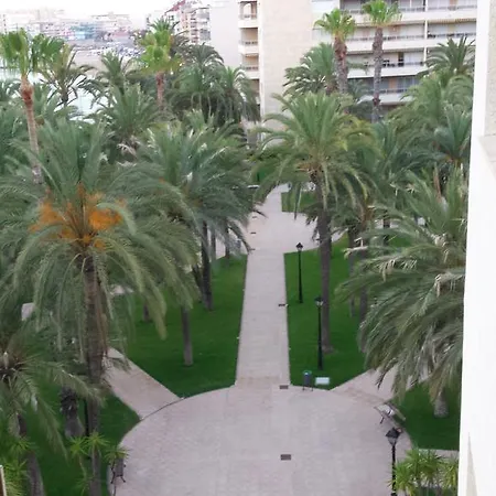 Palmeral De Apartamento *