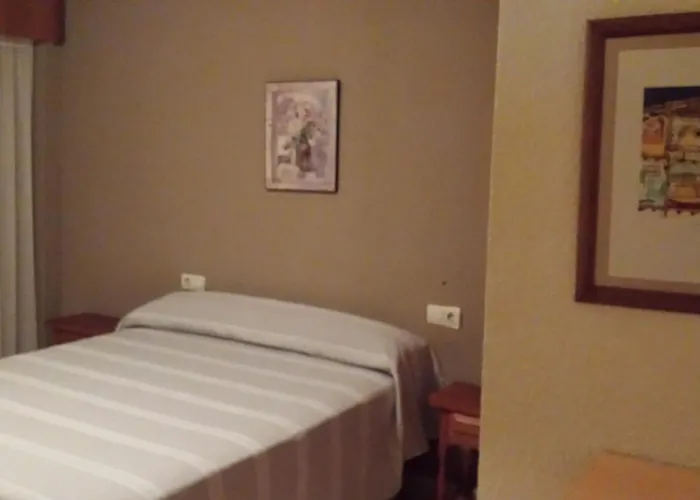 Palmeral De Torrevieja