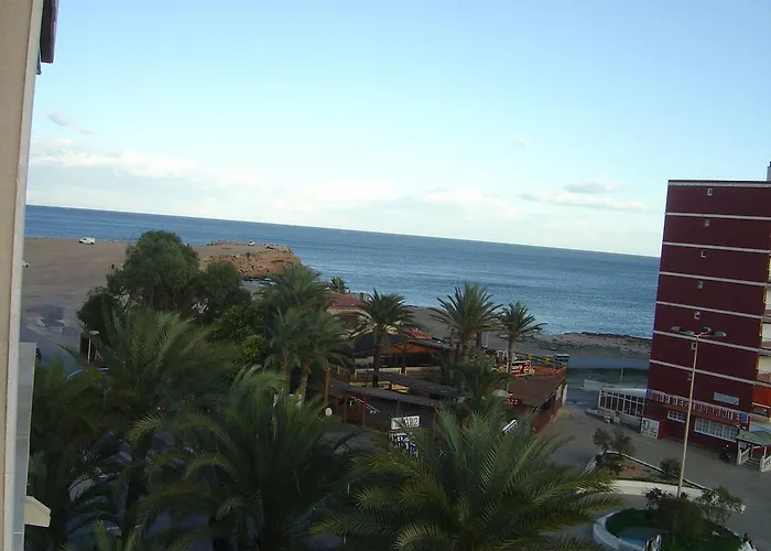 Palmeral De Apartamento *