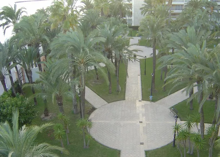 Apartamento Palmeral De