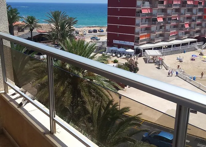 Palmeral De Apartamento Torrevieja