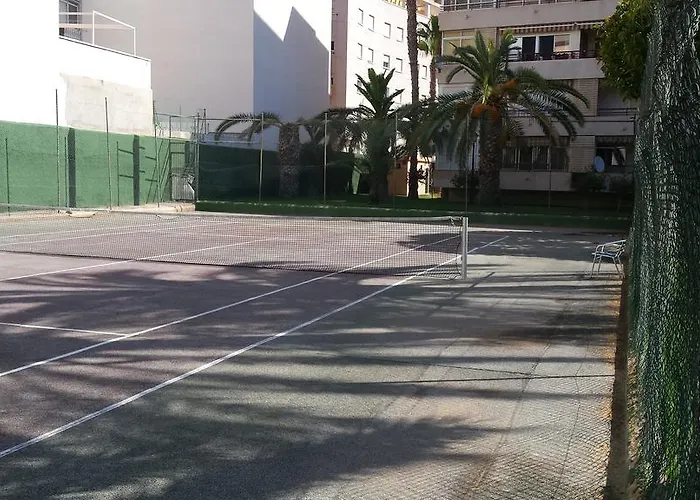 Palmeral De Apartamento