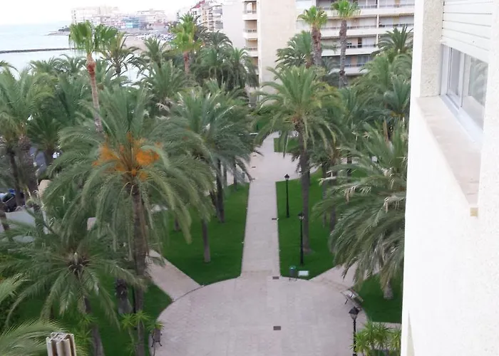 Palmeral De Apartamento *