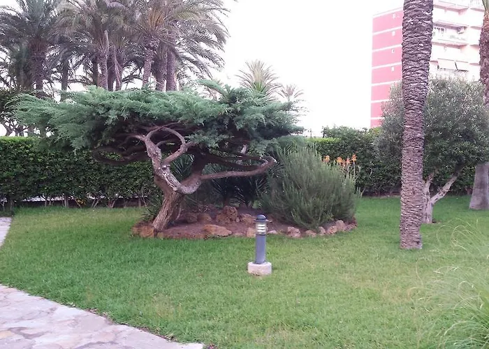 Apartamento Palmeral De *