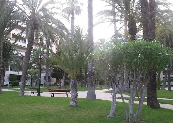 Apartamento Palmeral De Torrevieja