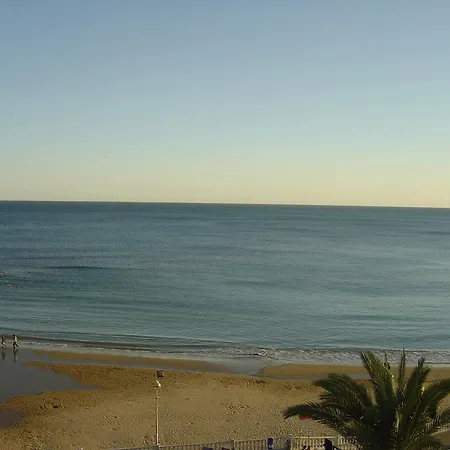 Palmeral De