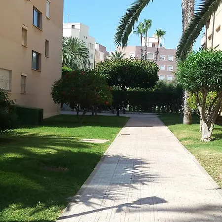 Palmeral De *