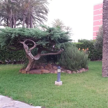Apartment Palmeral De *